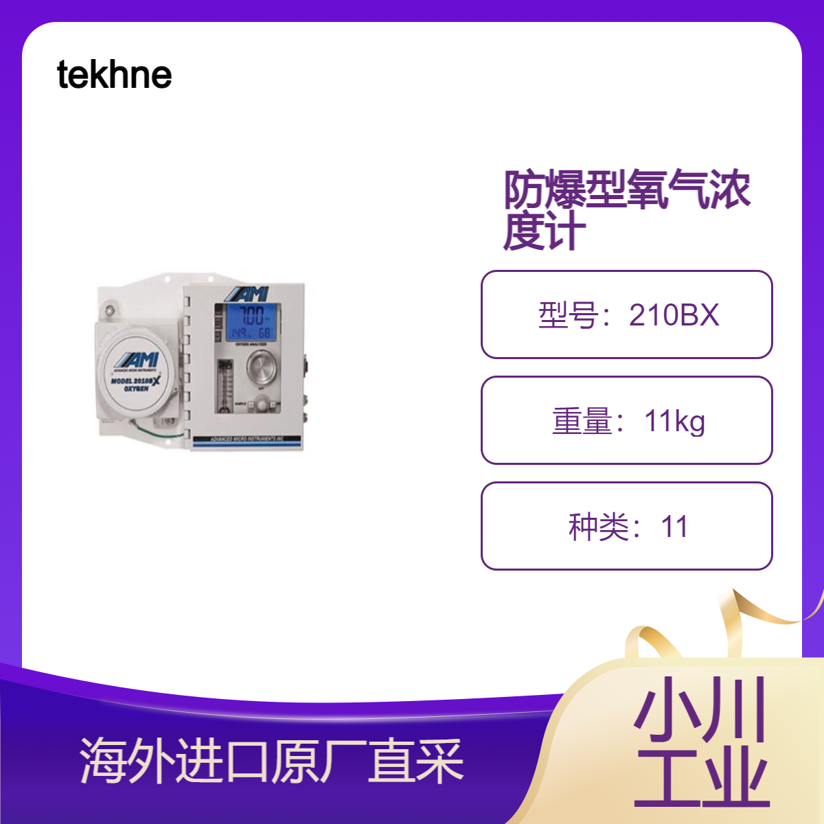 tekhne防爆氧气浓度计210BX 2010BX用于防爆区域氧气管理