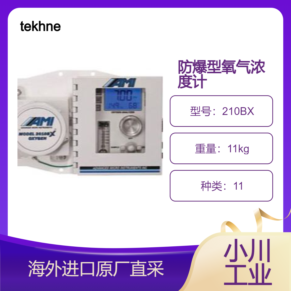 tekhne 210BX/2010BX适合需要防爆产品的条件下的百分比/PPM 测量