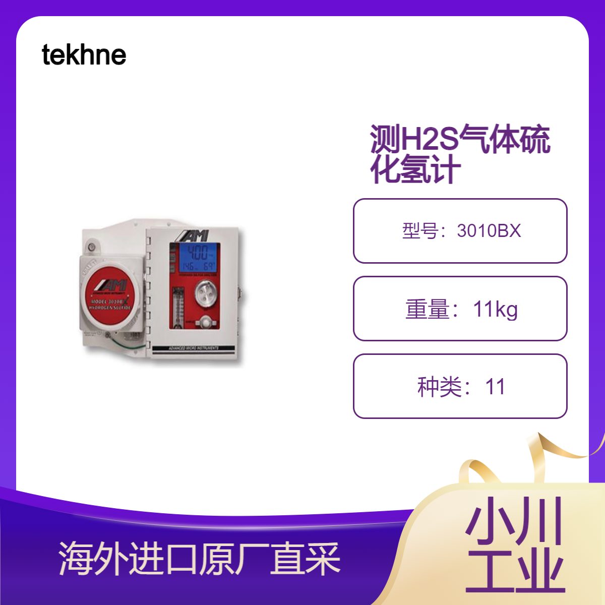 tekhne防爆型硫化氢计3010BX 测量H2S气体响应速度快 寿命长