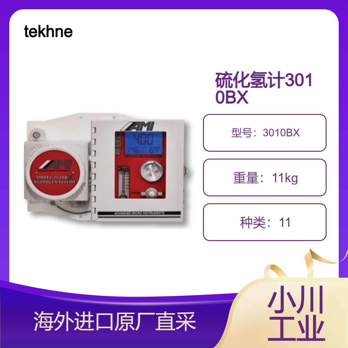 tekhne硫化氢计3010BX响应速度快 用于硫化氢作为杂质的管理