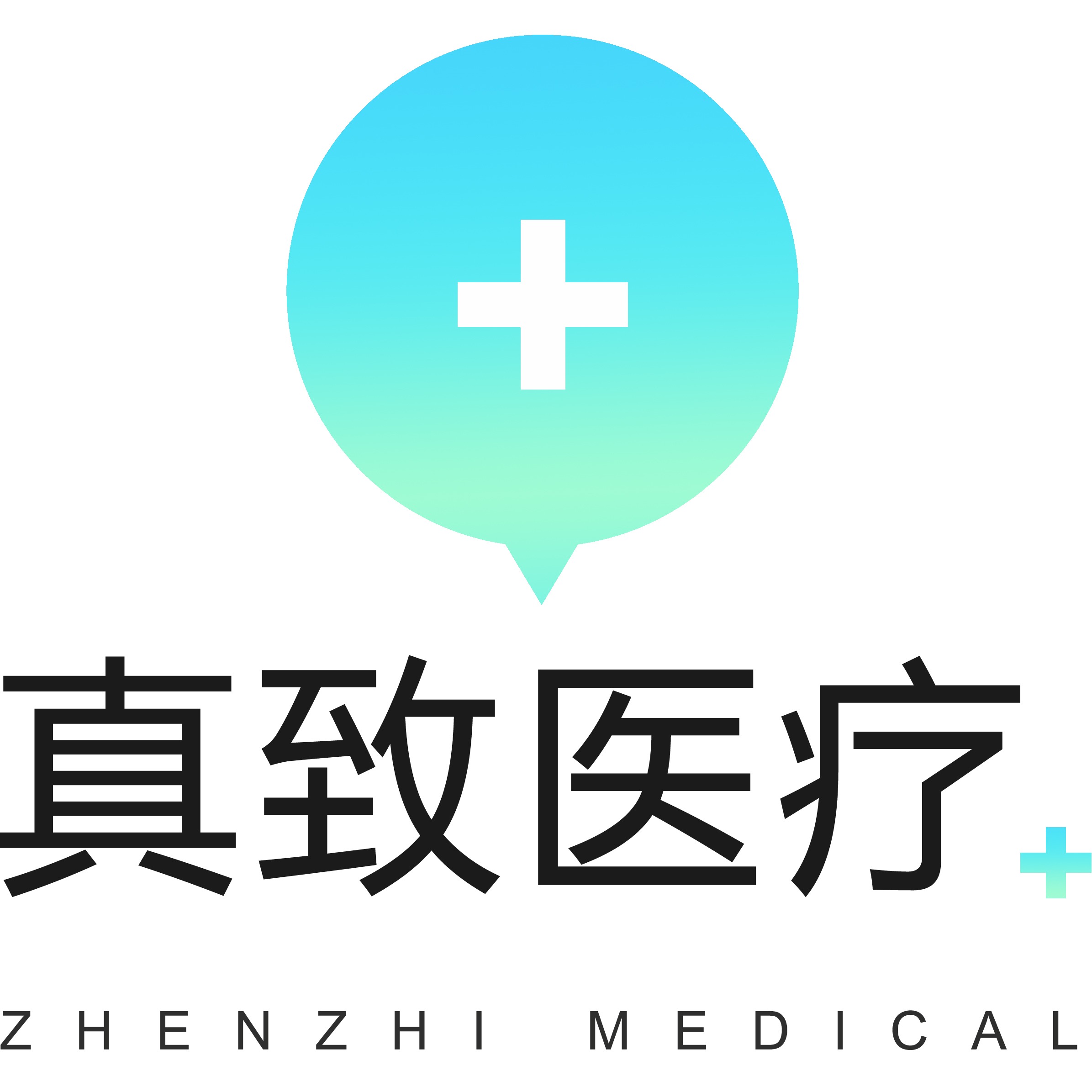 Guangzhou Zhenzhi Medical Technology Co., Ltd - Company Logo