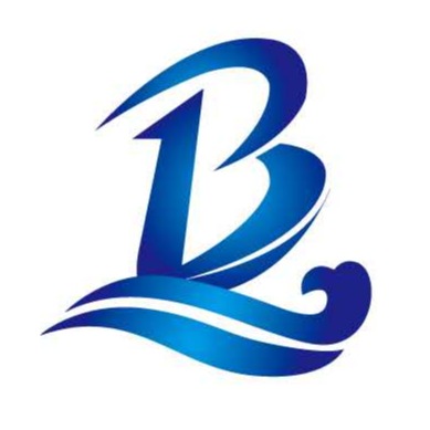 上海佰泉泵业有限公司 - 公司logo
