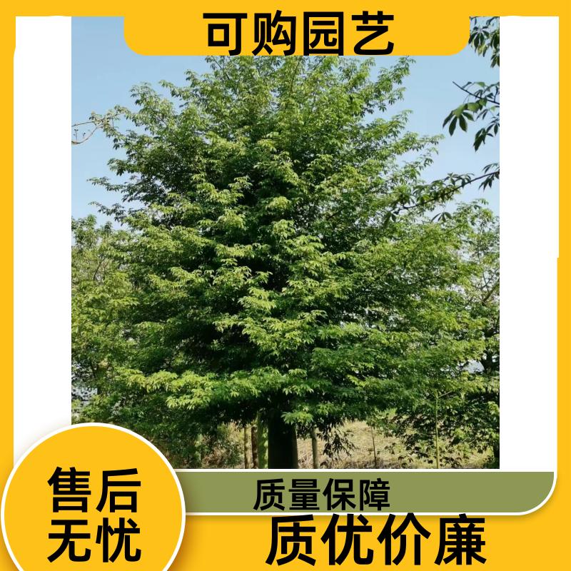 20231204/images/3vWw0PYraMOjwZzdgxSd3EPFEM8suLBB7EyuNRnm.jpg