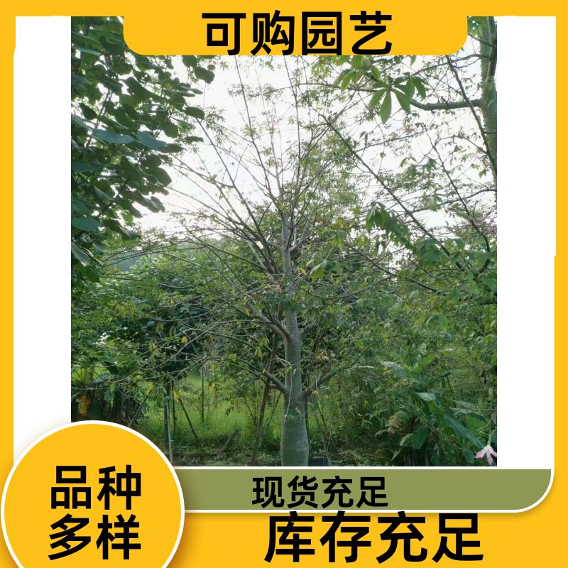 20231204/images/mGv4L2j1rphmN9OZwR4cbTQipcJpf8tJ1ro1UJY0.jpg