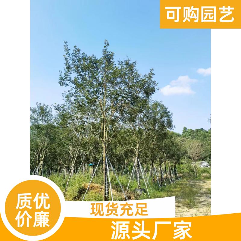20231204/images/e2ZlNKH2rQIU7S42c05XK41fT1lxwa11puV26g8u.jpg