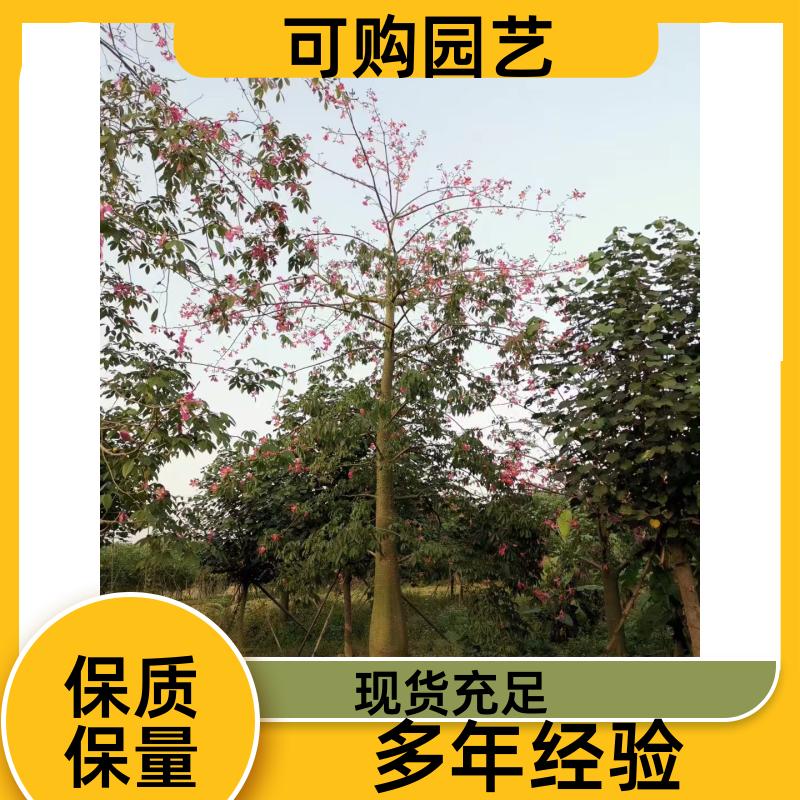 20231204/images/3PUsc8rPkJEAGPxlJeCtPDJBGM2R6BJMDRCqU2xy.jpg