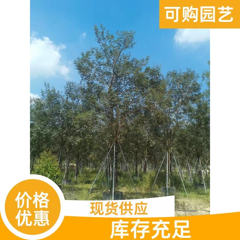 20231204/images/uDDbSNWgV3cPXt1obkbQ0lxKT0ooSzCXc6dP9zYB.jpg