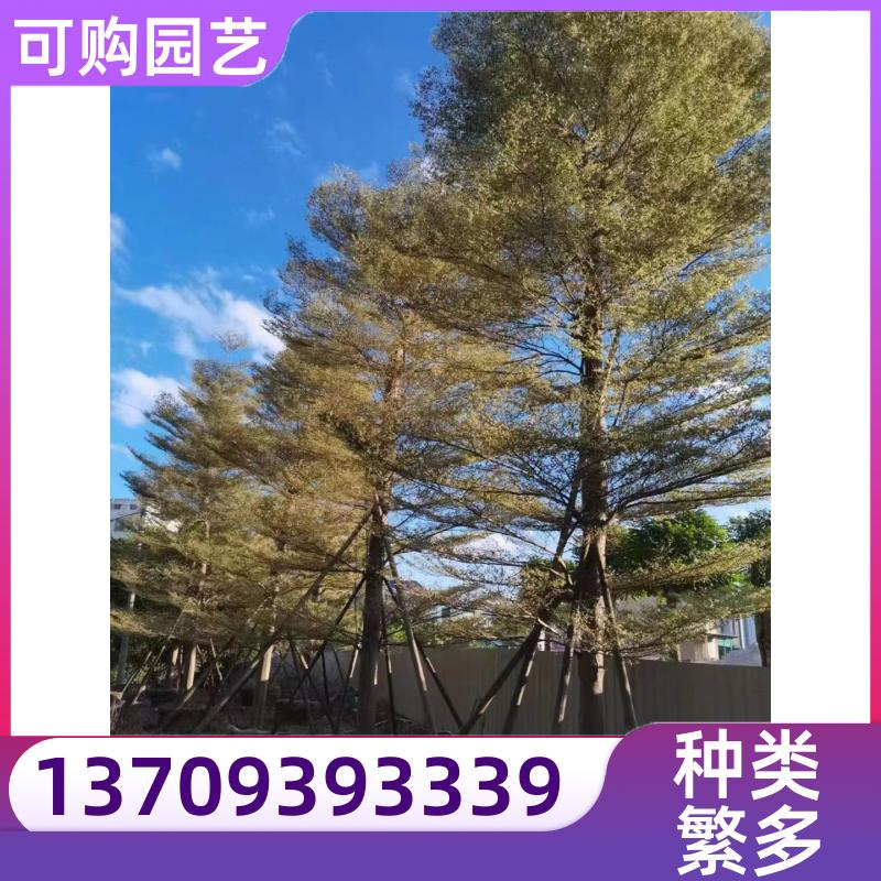 20231204/images/iDy7TiI4yXuYqnhzn6pDwG8xfuHU8MNrJWc4ZN1q.jpg