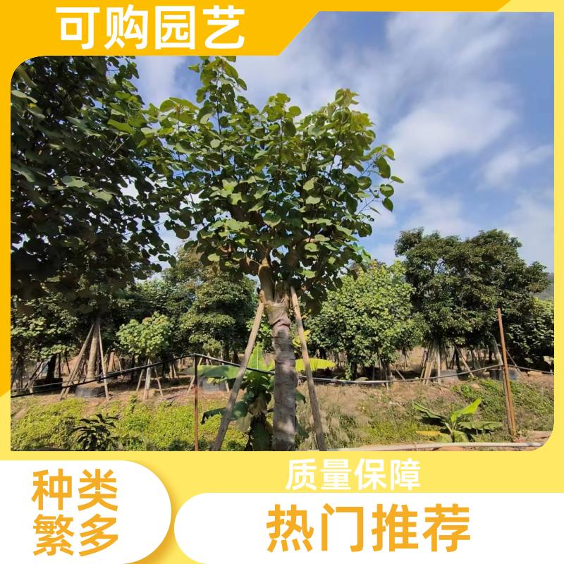 20231204/images/Iy5q4JgDsRbS8uo230IWWg2GIpM2ZiruKc7QtSXH.jpg