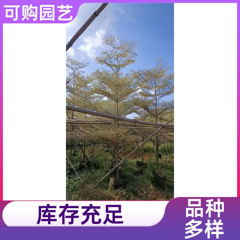 20231204/images/M5aHGst9ASLR8Sqm0WkGEfvJUMBbM52fUUDBVvH2.jpg