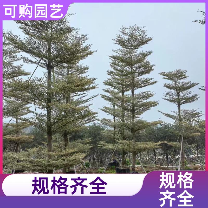 20231204/images/tHrgqJiMNdQwzOo19PqO61Nhd8FOn1f7xRVwKWuP.jpg