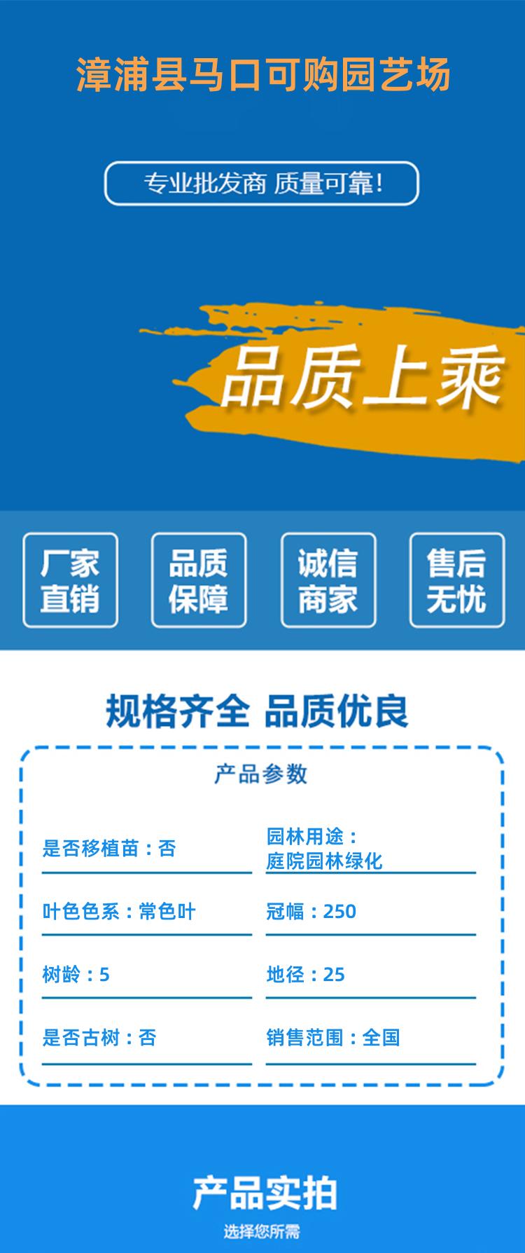 detail_pages/20231204/kWnGsXc2zfm4QKCOCOgSRdRb26FUtLqBw76tp4BG1yy73uqU7kAaOLHmJhrS.jpg