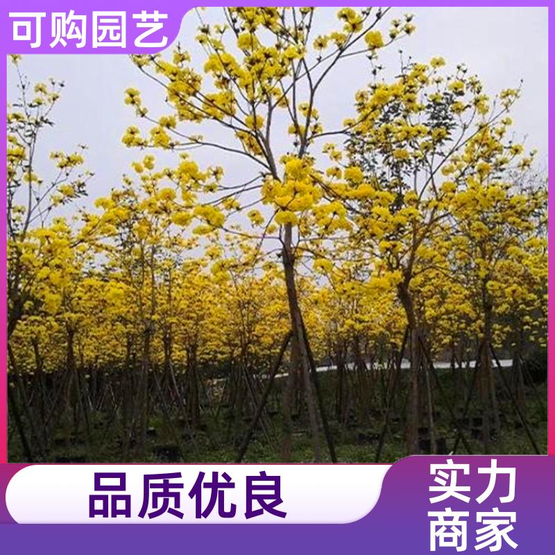 20231207/images/s6QLbRoVb3E1PB73G4Qs4NYrel2lPMTPBE9Hb4ad.jpg