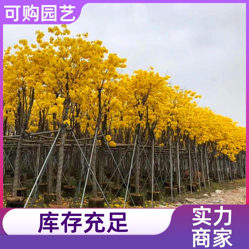 20231207/images/yHLB0uoKCHAswMS7EmT0WxvSPytDxLabKyIZuRi9.jpg