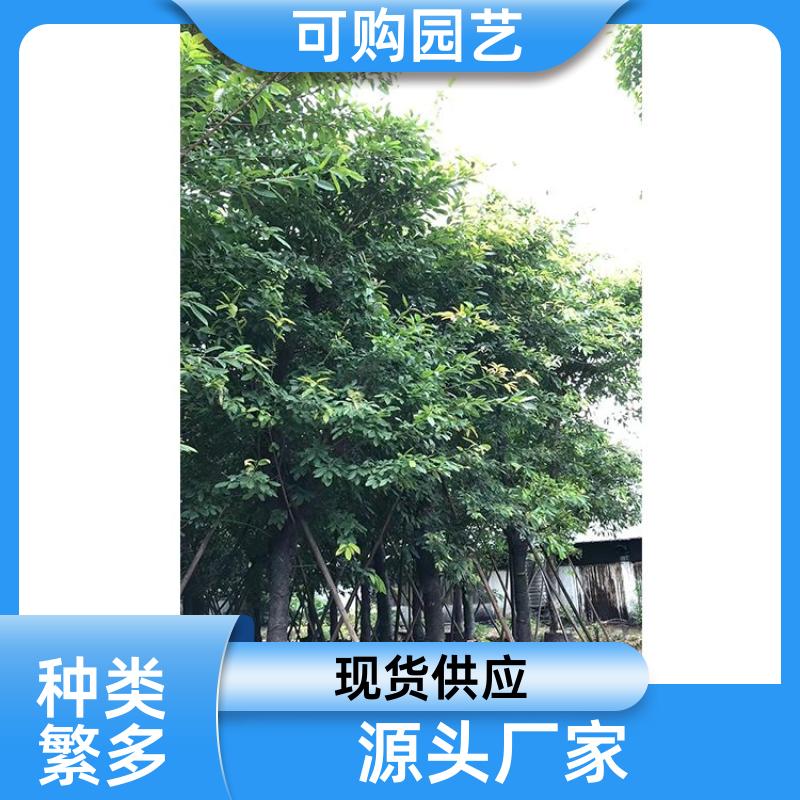 20231211/images/muP3ayHkcPiZZ8r1gGIH6rKZsoxeVwIA1s4C1QGT.jpg