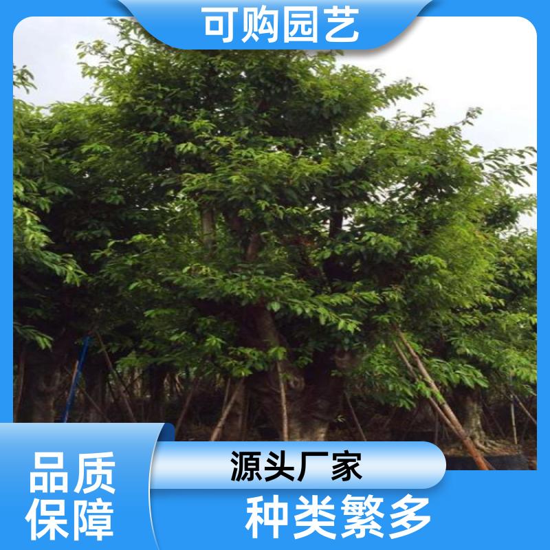 20231211/images/smOMF7cZ56Z1TcxXXeKA3VJasy07T8RH2ypGOvY8.jpg