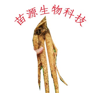 凌云县苗源生物科技开发有限公司