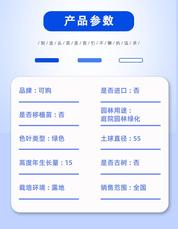 detail_pages/20231211/71AF1iIYSK58TRiDffWbOzZo2t1mtmm9LyHjBPQHjajXm2nexbTGz8AFR0sc.jpg