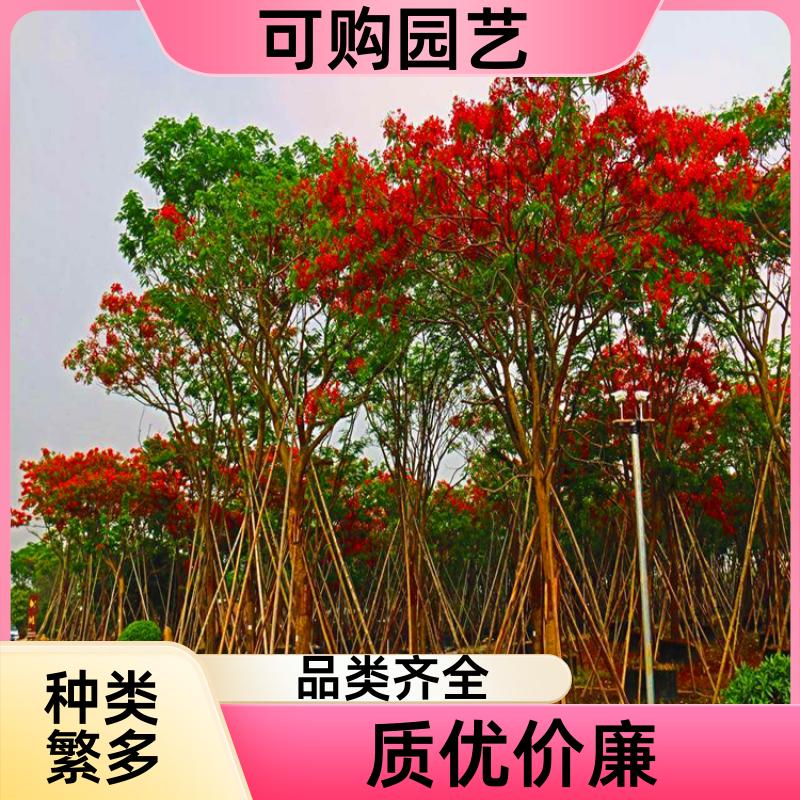 20231211/images/iozJEsk7Vxq6xRrrX6UYrfPZDXwh9Bvd9J7qG6w2.jpg