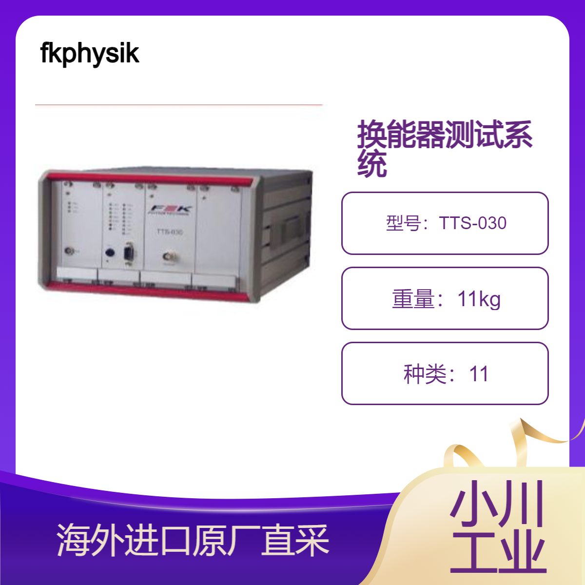 fkphysiktechnik换能器测试系统TTS-030用于检查电线和模具键机