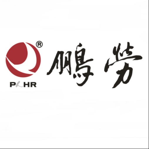 深圳市鹏劳人力资源管理有限公司