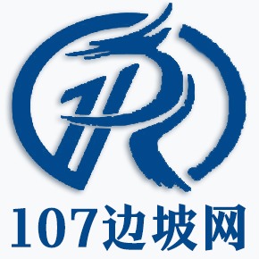 重庆一零七金属材料有限公司 - 公司logo