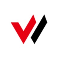 维图斯（江苏）自动化仪表有限公司 - 公司logo