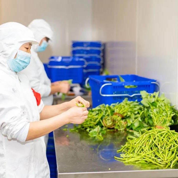 预包装食品批发：市场动态与发展趋势