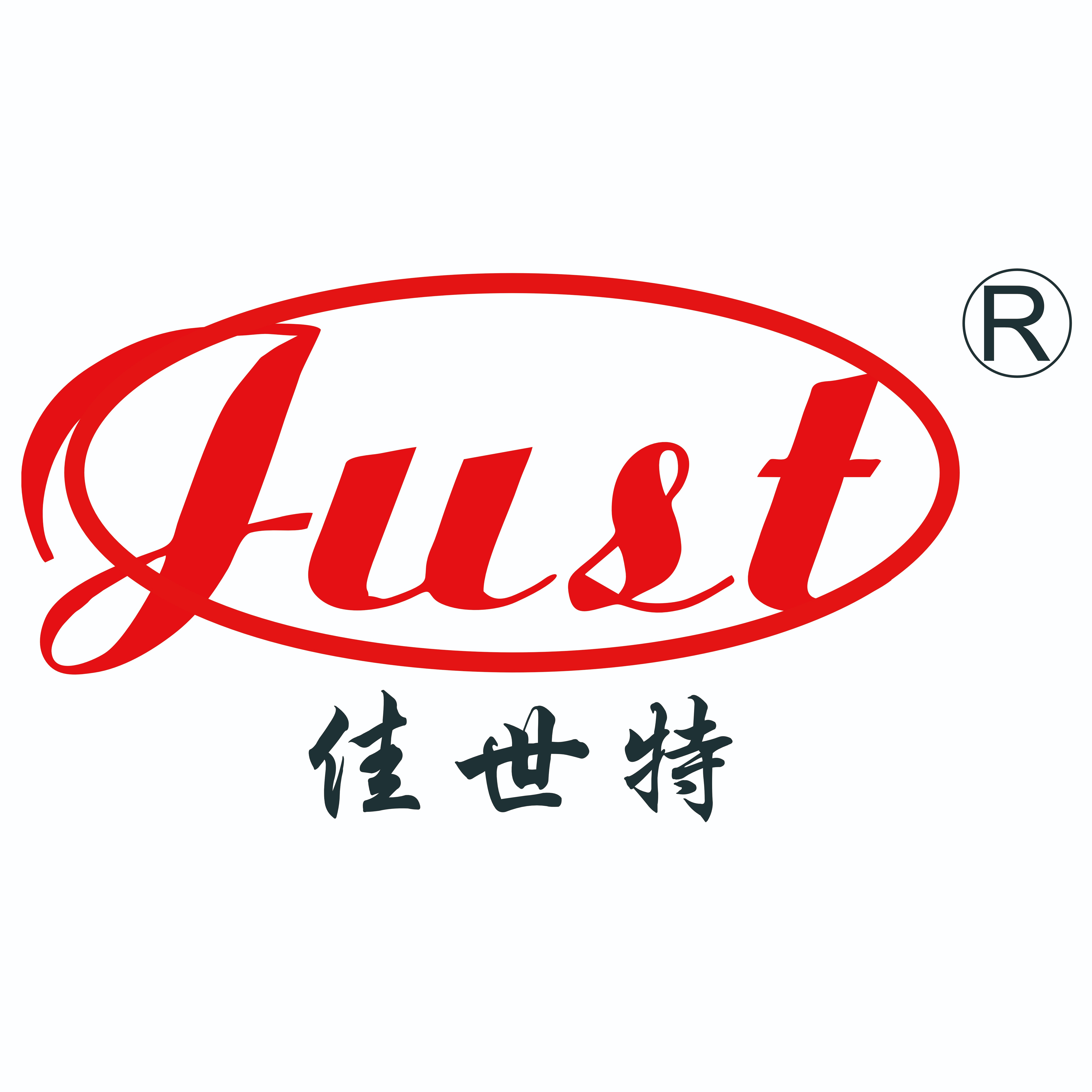 四川佳世特橡胶有限公司