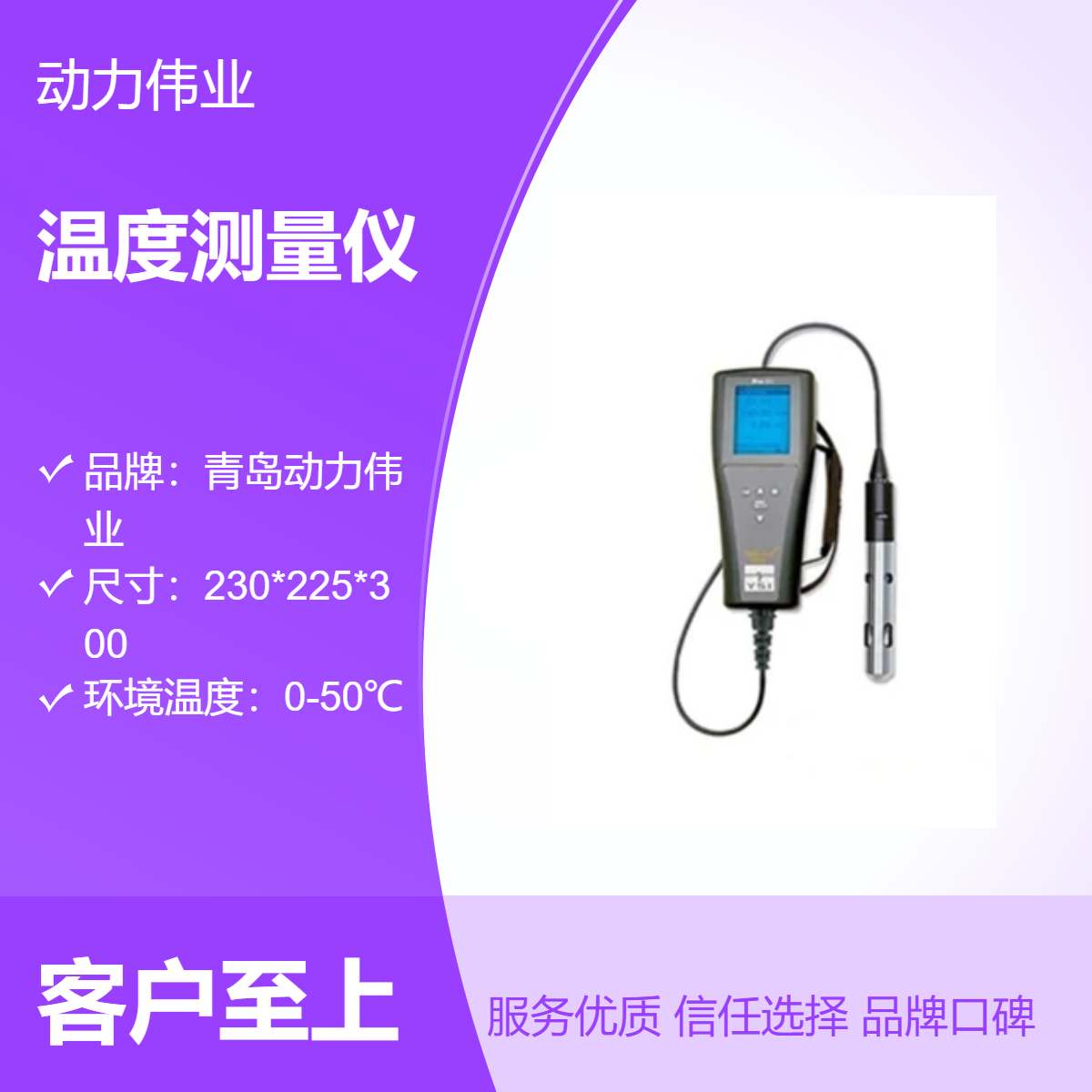 美国维赛 YSI55型 溶解氧、温度测量仪 便携式水质检测仪