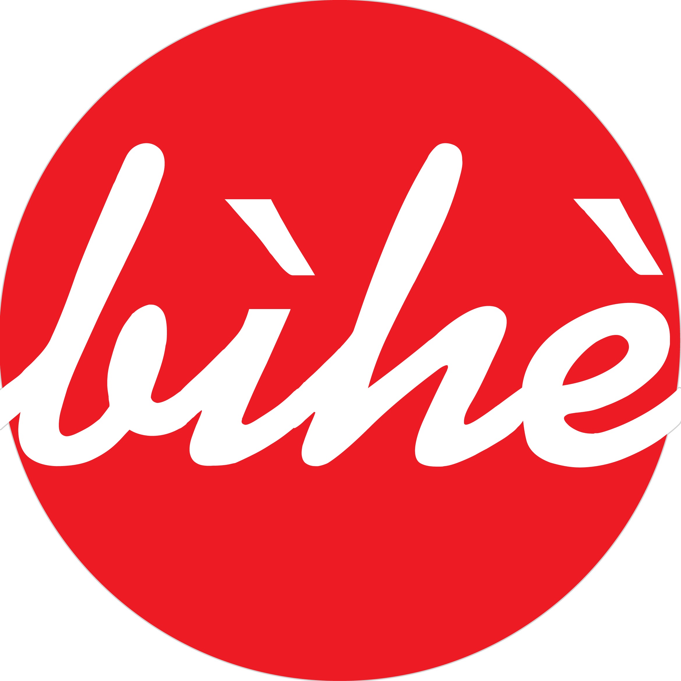 皕赫国际贸易（上海）有限公司 - 公司logo