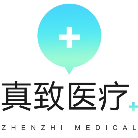 广州真致医疗科技有限公司 - 公司logo