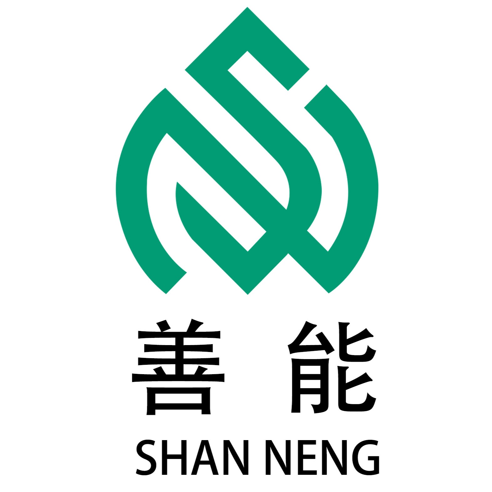 山东善能药业有限公司