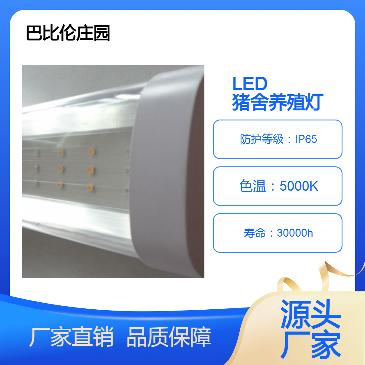 巴比伦庄园 LED肥猪养殖灯，涵盖：养殖猪仔、母猪、育肥猪等 动物