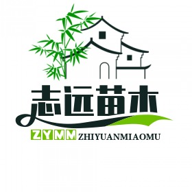 泰安市泰山区志远苗木园艺中心