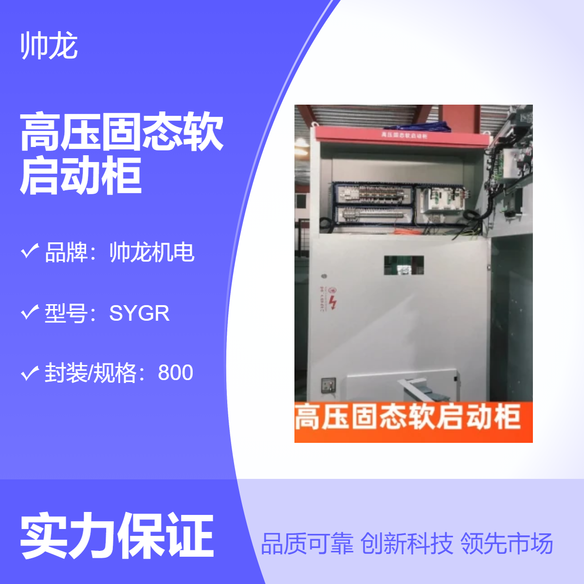 供应帅龙机电高压固态软启动柜 SGR 鼠笼电机起动柜现货