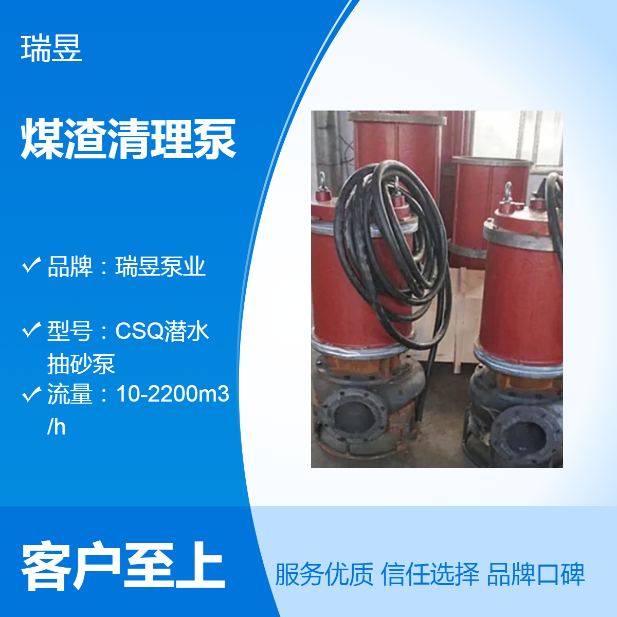 电厂煤渣清理泵 瑞昱泵业出品 耐磨煤渣输送泵