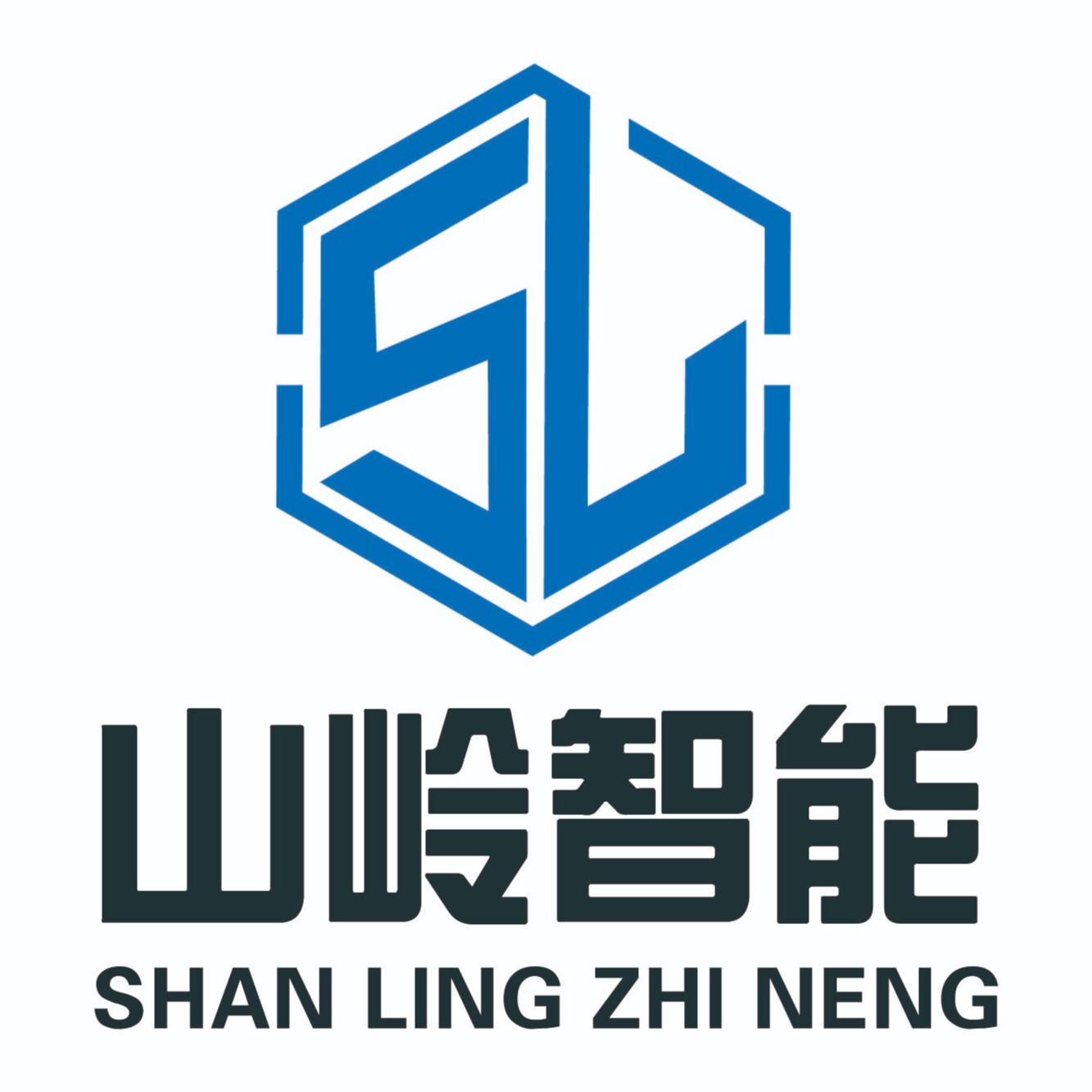 合肥山岭智能科技有限公司