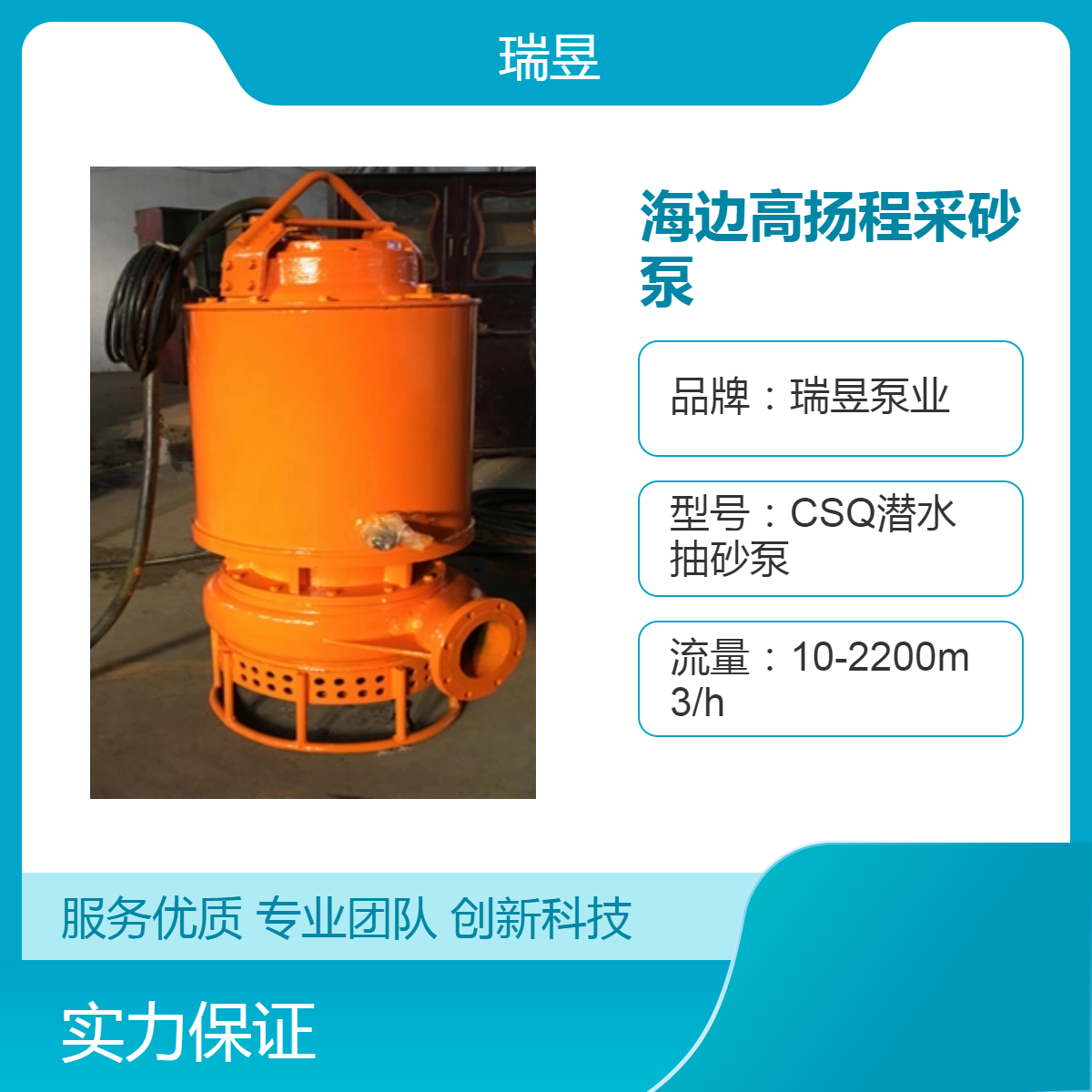 海边高扬程采砂泵 瑞昱泵业出品 大流量抽砂泵