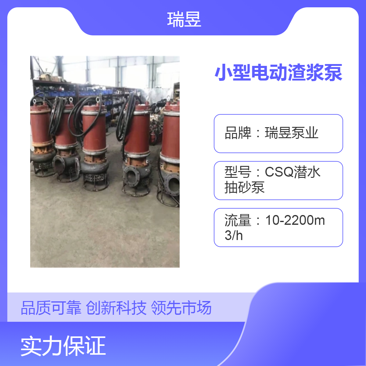 CSQ系列小型电动渣浆泵 潜水离心式 瑞昱泵业出品