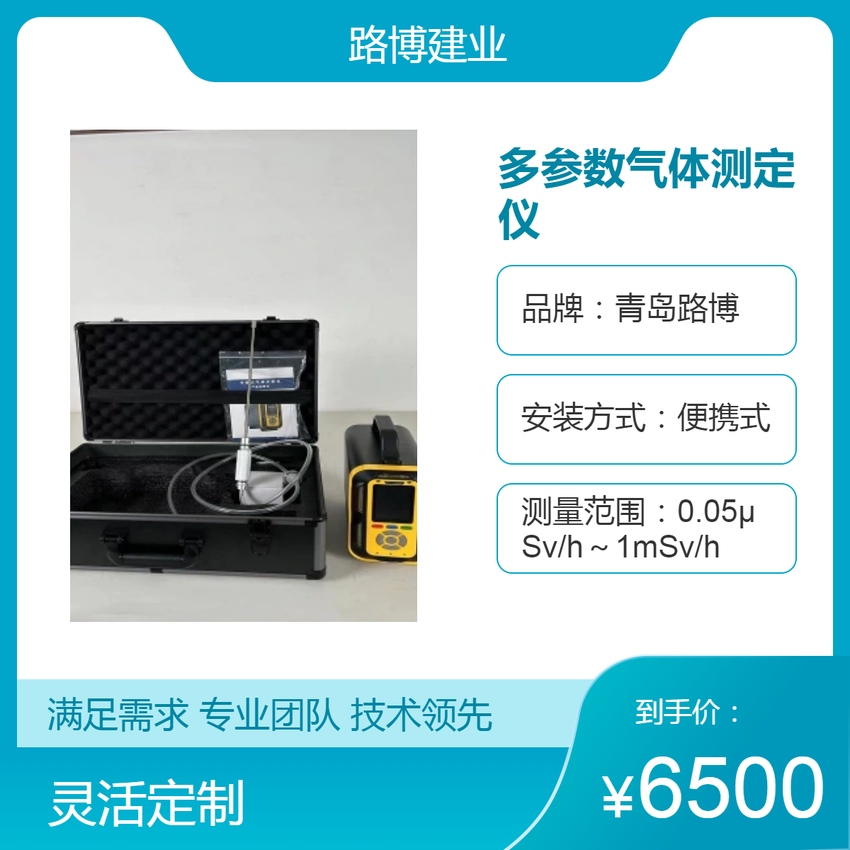路博便携式多参数气体测定仪 轻巧便携 快速精准