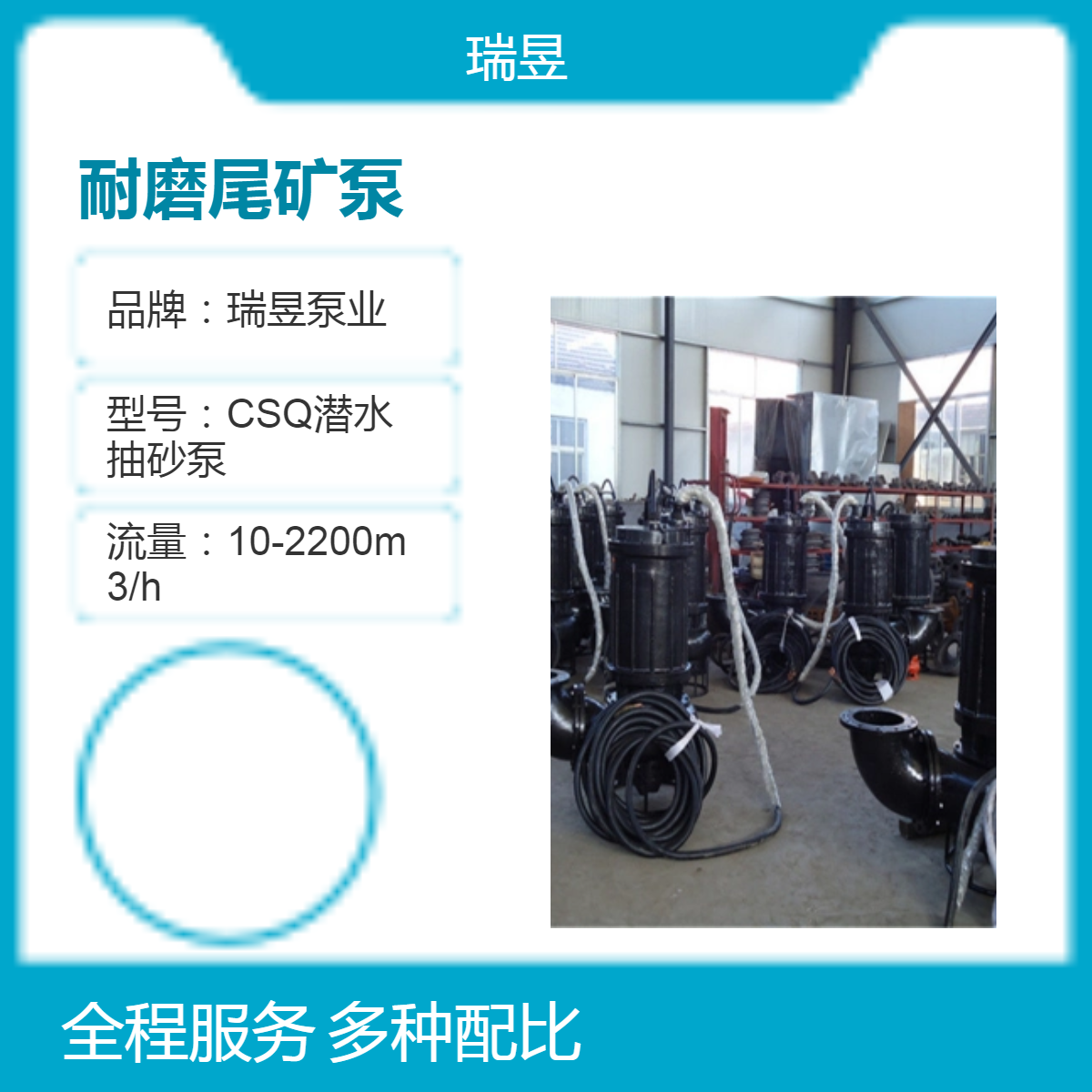 CSQ系列耐磨尾矿泵 潜水电动矿砂泵 瑞昱泵业出品