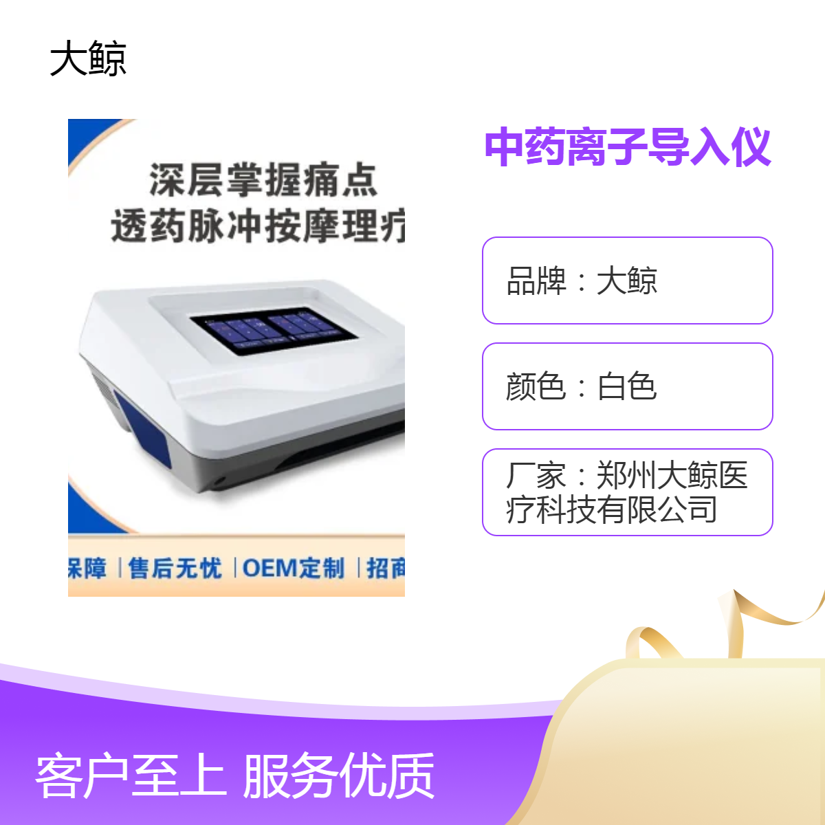 大鲸中药离子导入仪 定向透药系统DJ-A6 2路输出 白色主机 配电极使用