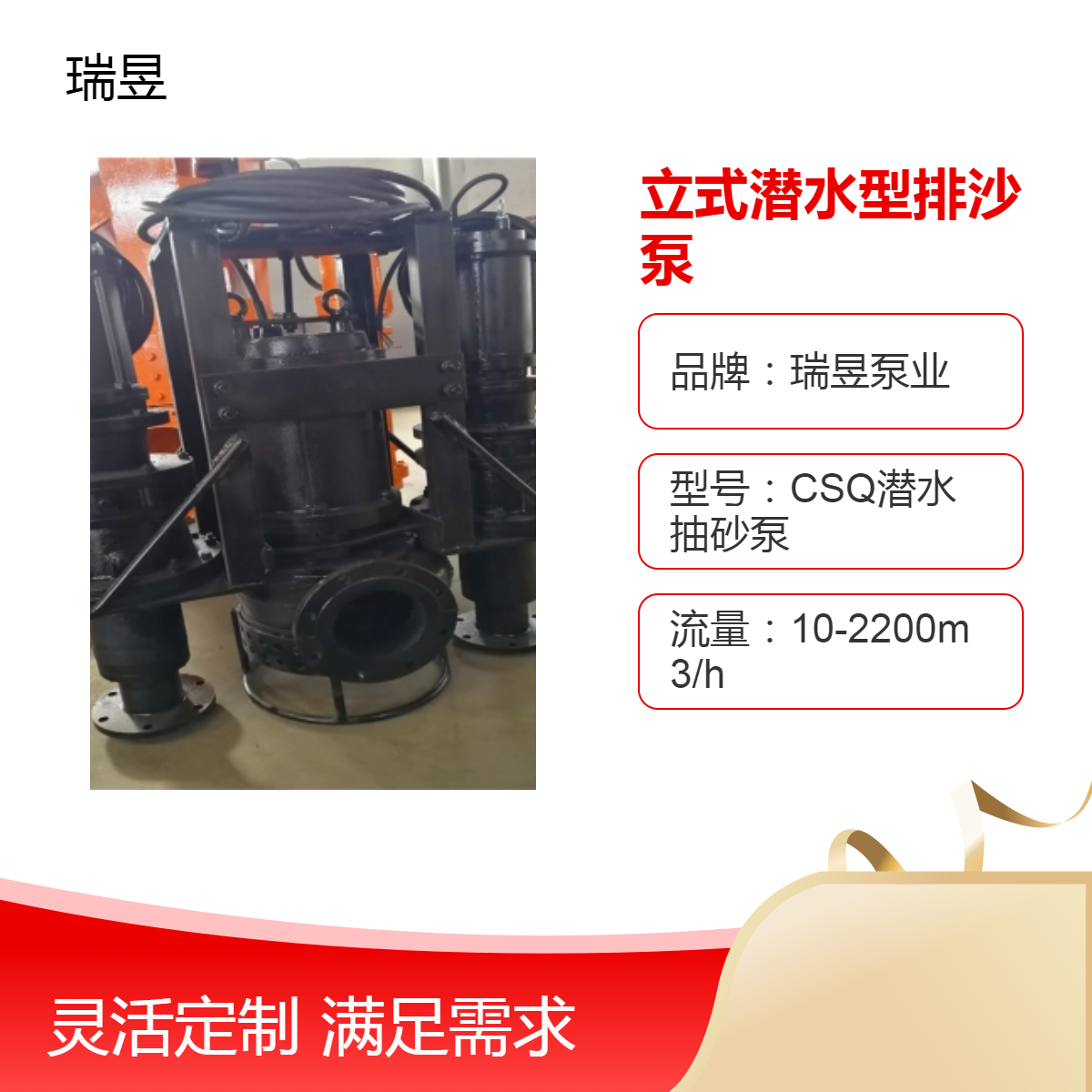 立式潜水型排沙泵 瑞昱泵业出品 高效排沙清理泵