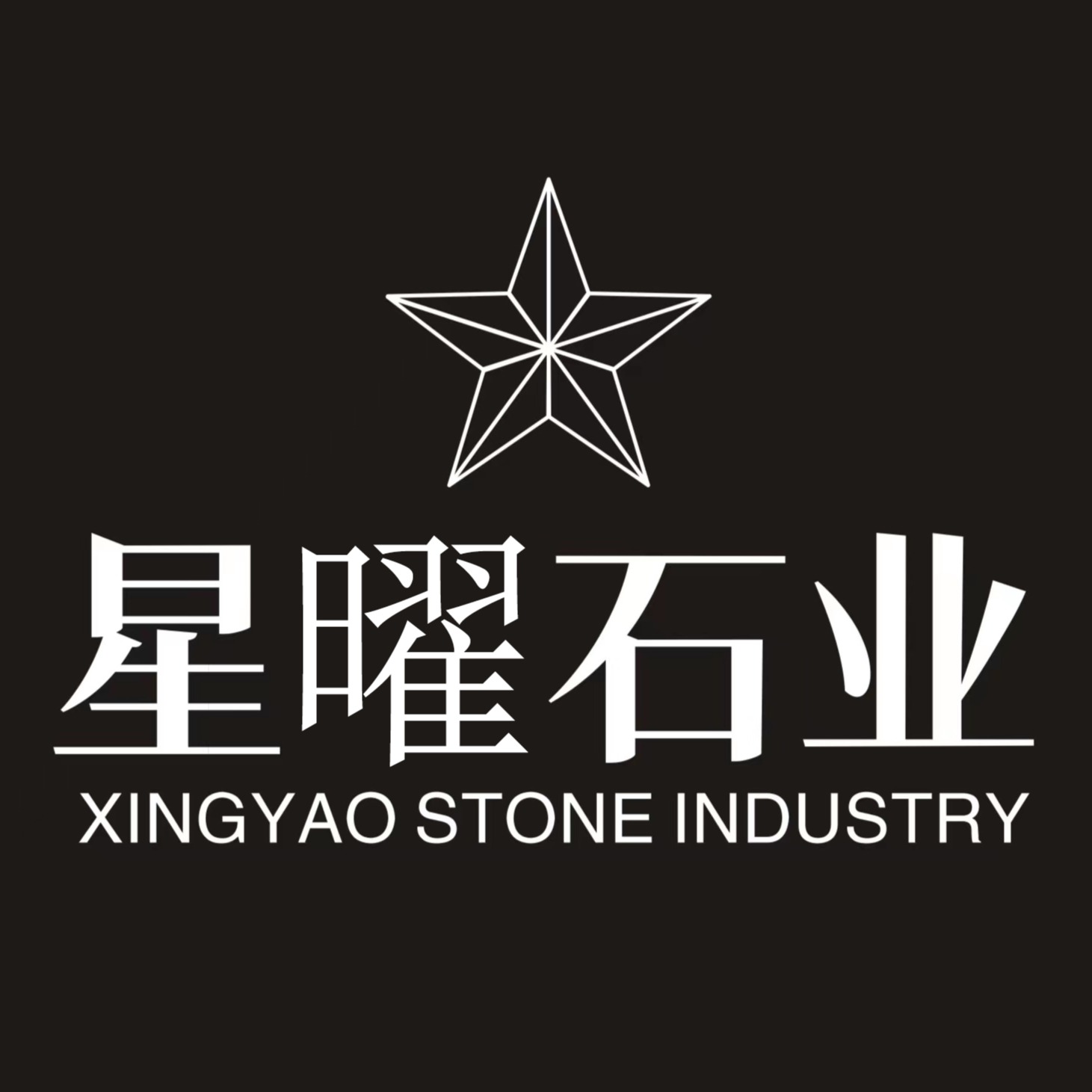 九江市星曜石业有限公司 - 公司logo