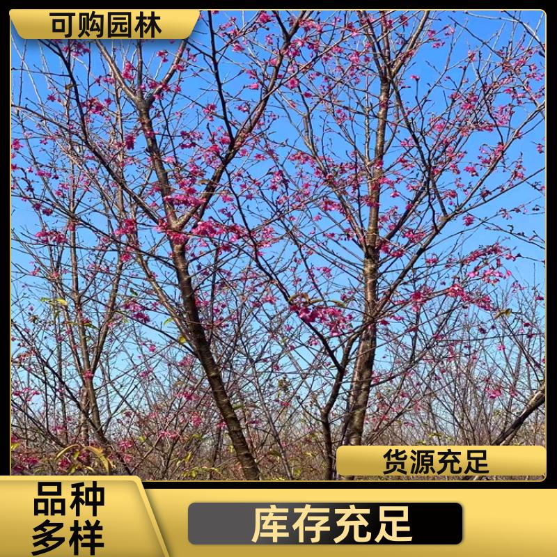 20240314/images/ydEUih8jeGYzRLp6GCwk89uSYpMJAoGqvlHYSWEM.jpg