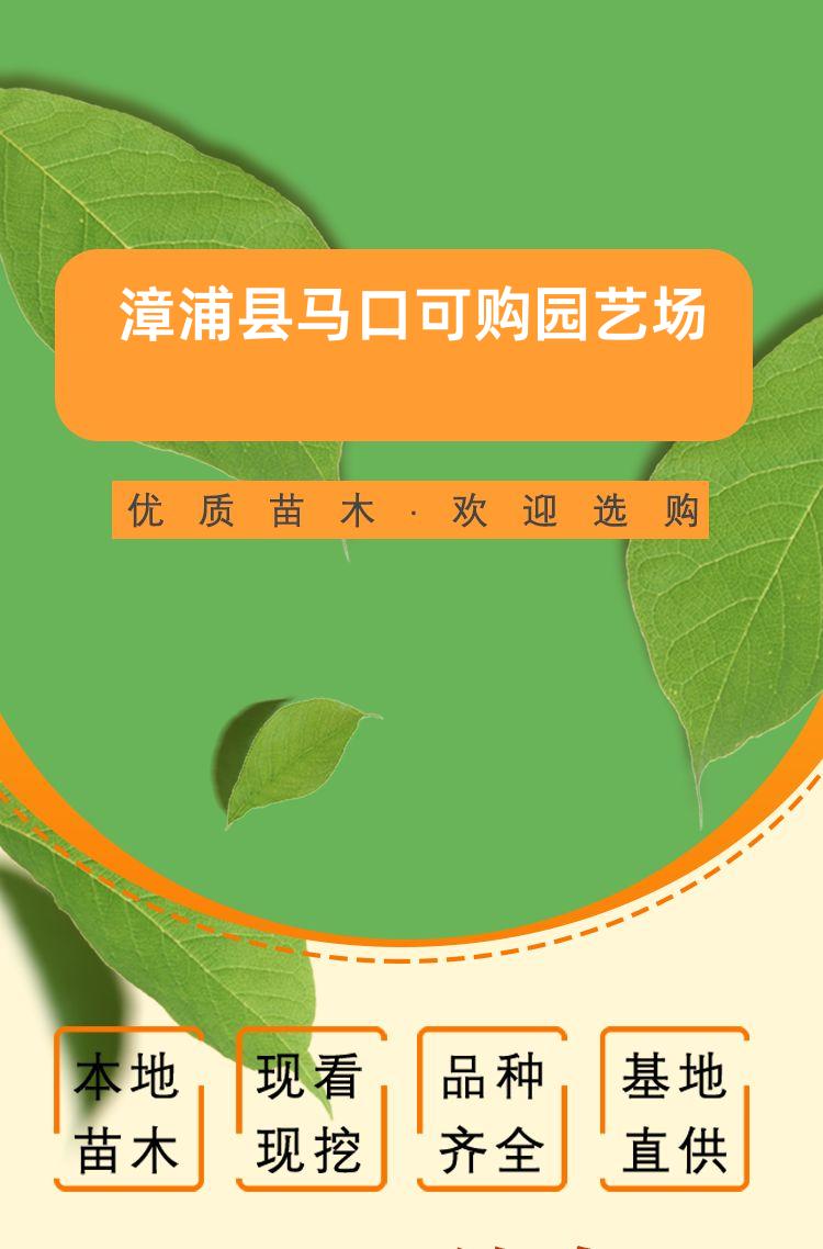 detail_pages/20240315/BeI8UQjyJiWkiVg7mQ1o7uWu3gA0gFbFxObcOxLMwKKeAkMETybS1EMUXe3a.jpg