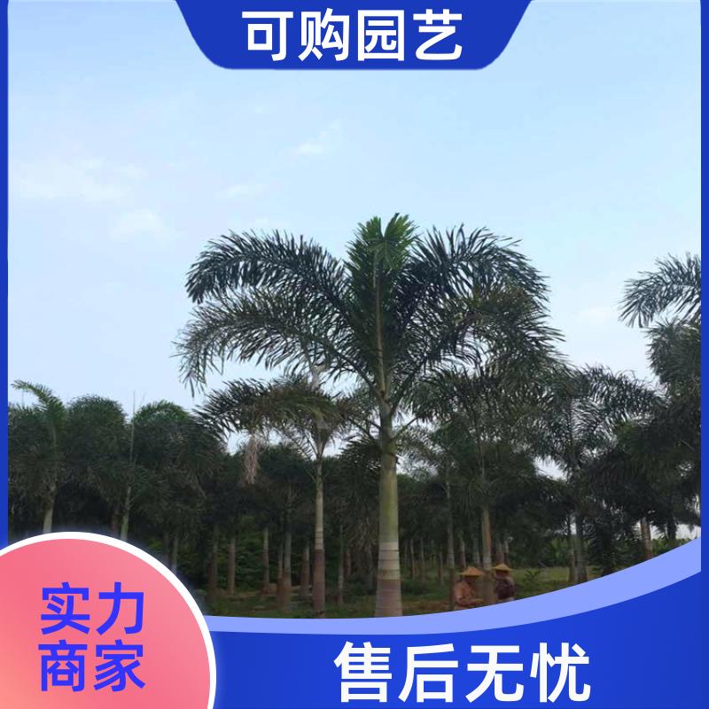 20240315/images/Aljup1XBvLMNWyCtzqQPu8P25UgFKDufqsHU5WzL.jpg