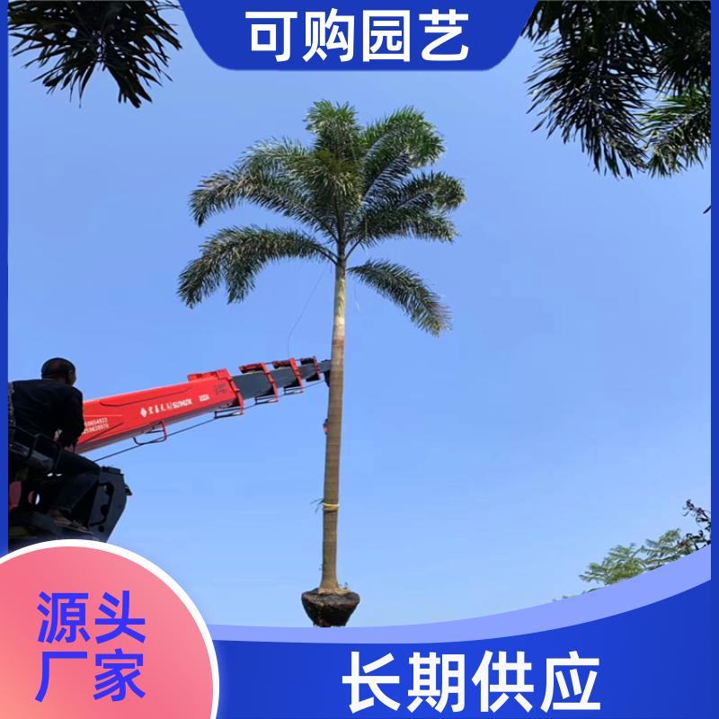 20240315/images/WrT2UTHq6oYjVTQikOc05uCyaxVlcyC7NJFG8XJr.jpg