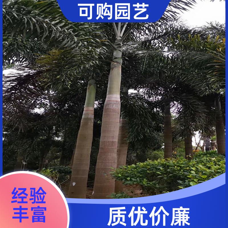 20240315/images/OORJ3pshoot9jtwB5YZf4zJc7cMuG1pIMcr6V1RV.jpg